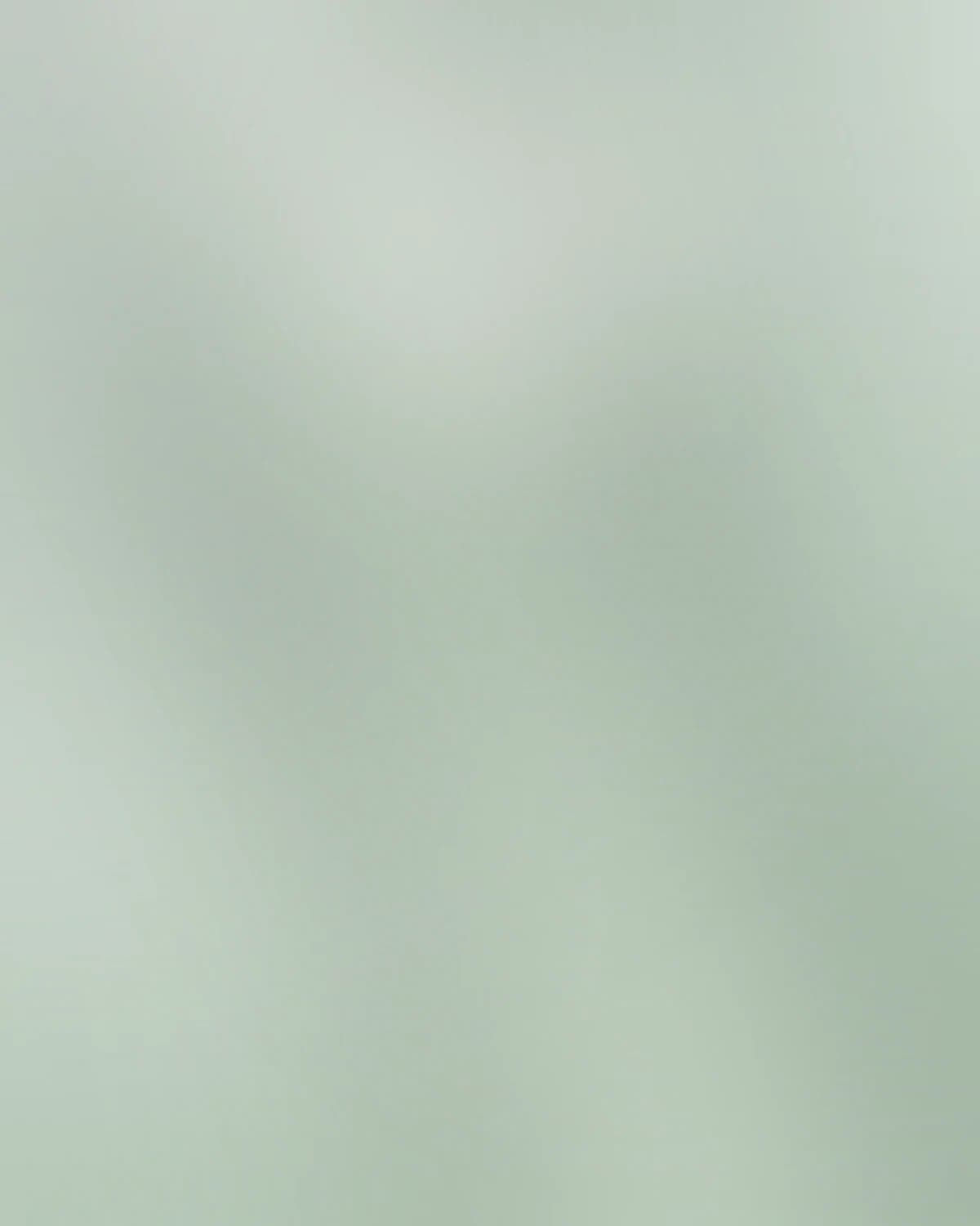 Nomad's Man — detail 1