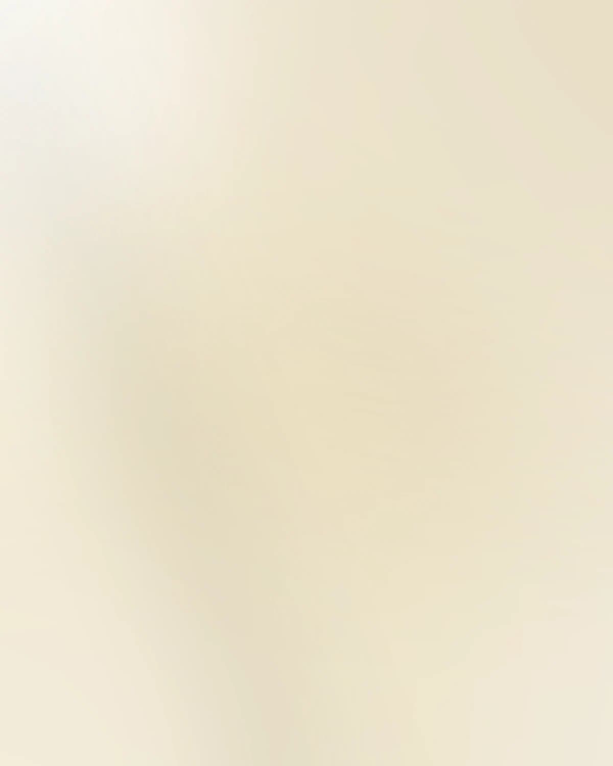 The Rakhi Promise — detail 2